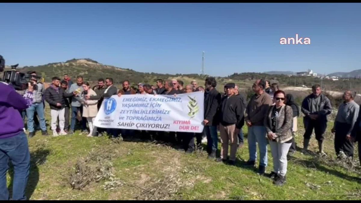 Hatay Depremzede Derneği: Zeytinliklerimizi Sökmeye Başlayan İnşaat Şirketi İzin Belgesine Sahip mi?