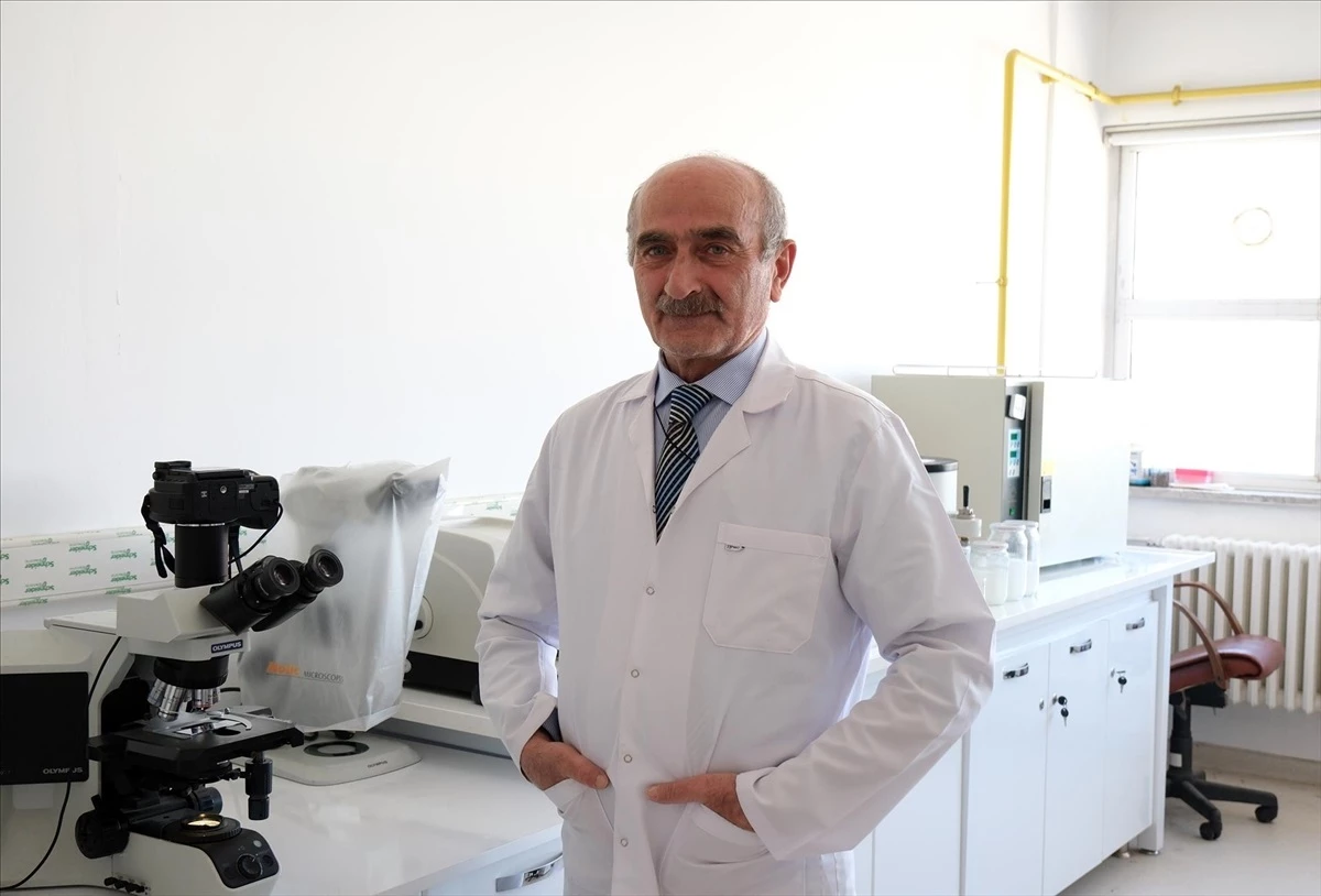Hitit Üniversitesi\'nde Diyabet Hastalarında Doku Hasarlarının Araştırılması