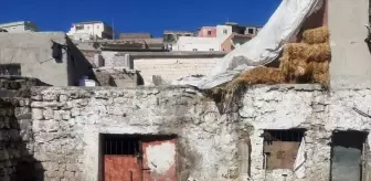 Kayseri İncesu'da telef olan koyunların yerine 20 küçükbaş hayvan teslim edildi