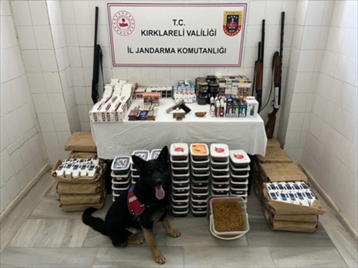 Kırklareli\'nde tarihi eser ve tütün kaçakçılığı operasyonunda 11 şüpheli gözaltına alındı