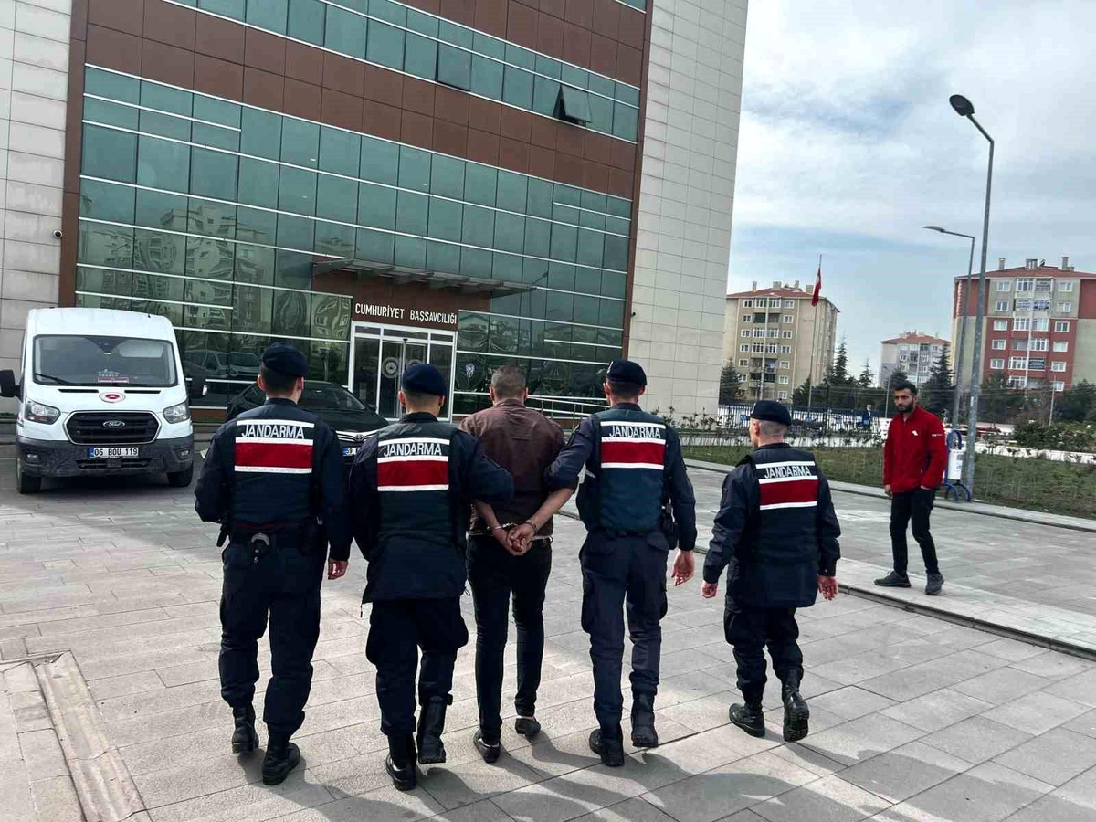 Tekirdağ\'da Jandarma Ekipleri 8 Kaçak Göçmen Yakaladı