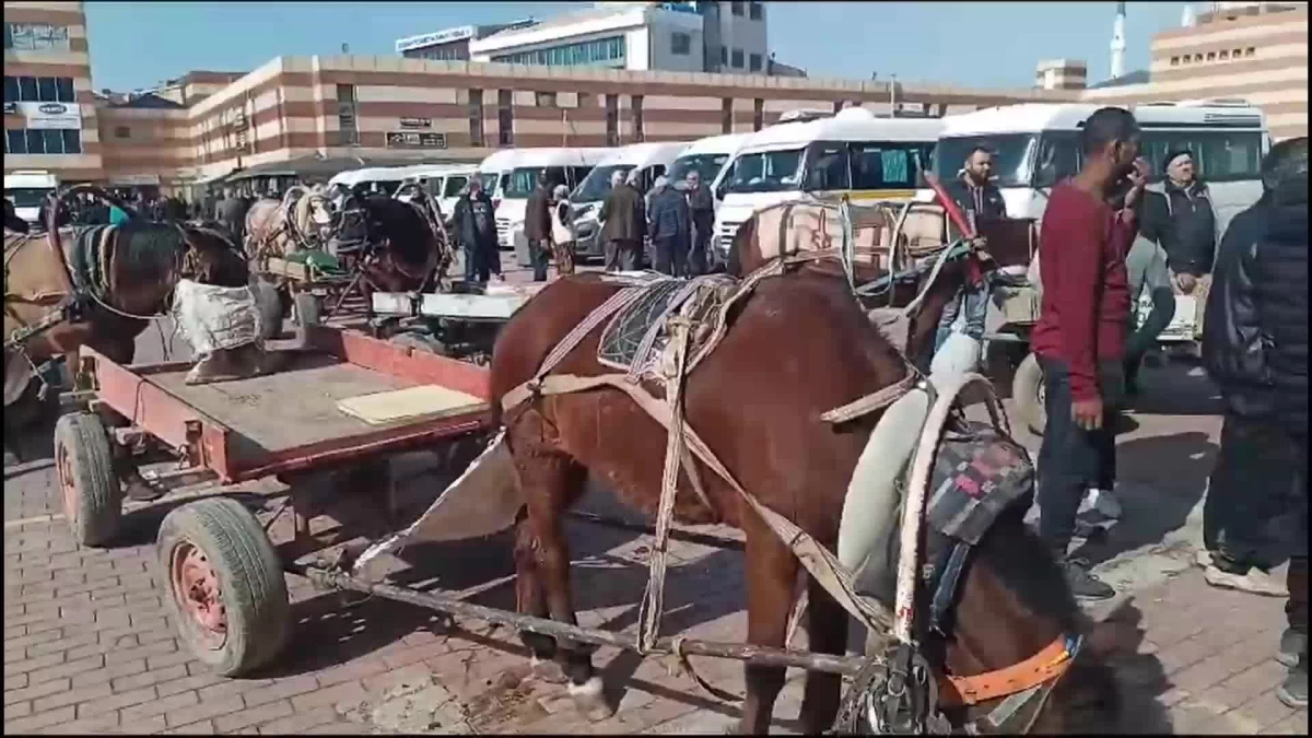 Keşan Belediyesi, at arabacılarına verilen sözleri tutmadı