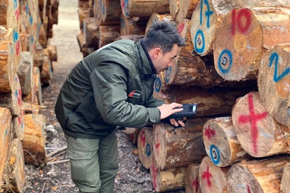 Bolu Mudurnu\'da Barkodlu Orman Ürünleri İhaleye Hazır