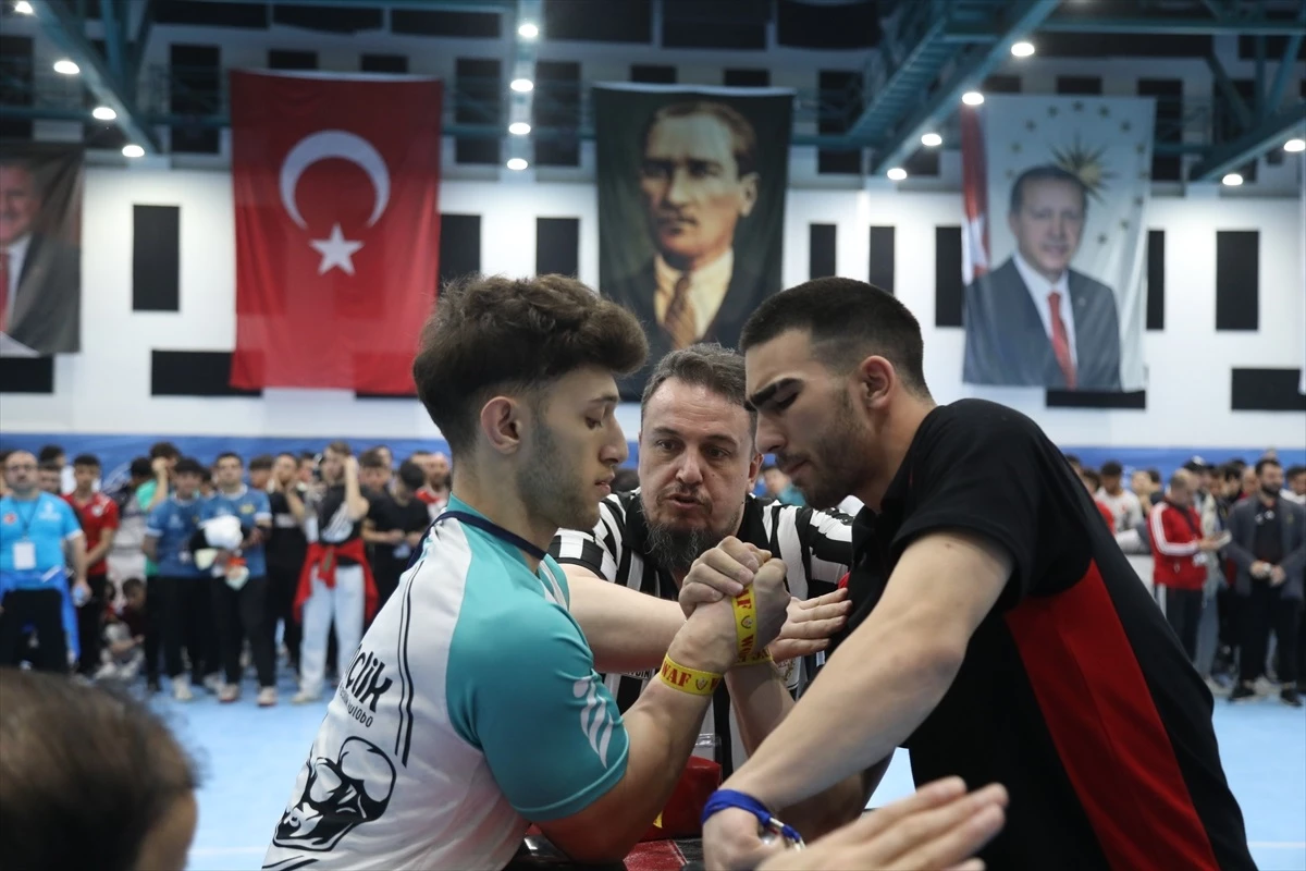 Bilek Güreşi Türkiye Şampiyonası ve Avrupa Şampiyonası Samsun\'da devam ediyor