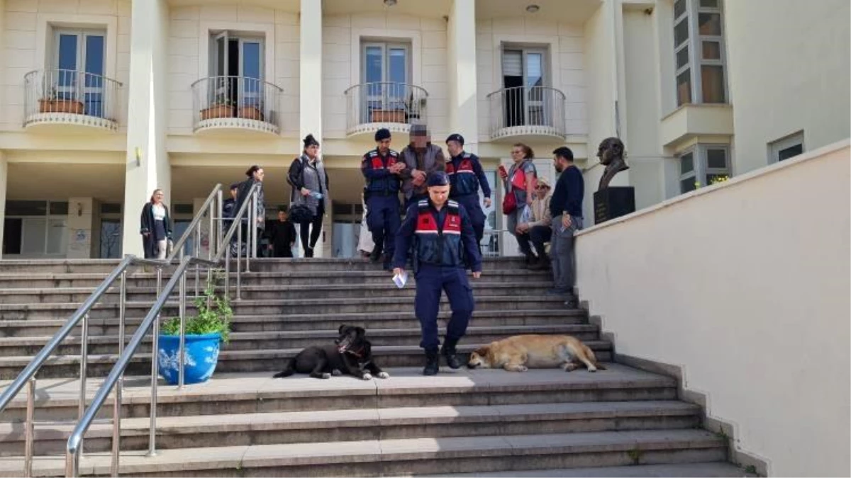 Bodrum\'da 12 kedi ve köpeği zehirleyen şüpheli yakalandı