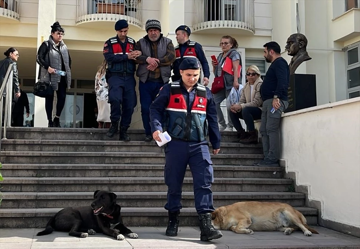 Bodrum\'da 6 köpek ve 3 kedinin ölümüne neden olduğu iddiasıyla tutuklama