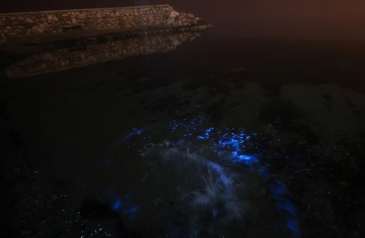 Doğanın sihri! Marmara Denizi\'nde planktonların çoğalmasıyla suda mavi parlamalar oluştu