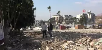 Depremin Vurduğu Hatay'da Narenciyeler Dallarda Kaldı
