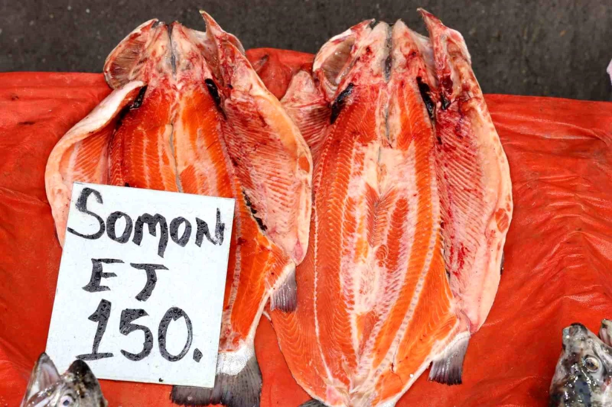 Elazığ\'da Balık Sezonu Sonuna Yaklaşırken Vatandaşların İlgi Artıyor