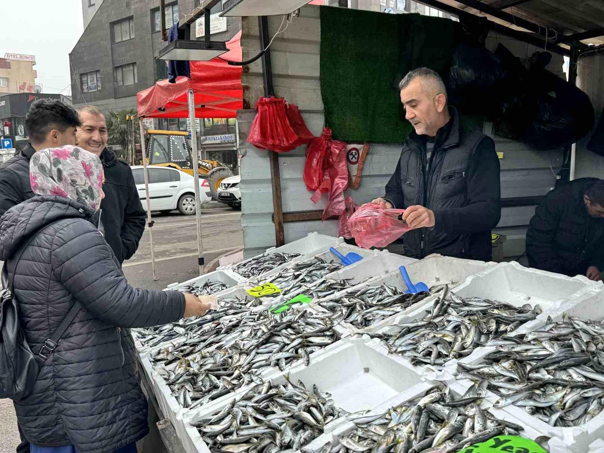 Zonguldak\'ta Vatandaşlar İstavrite Yoğun İlgi Gösterdi