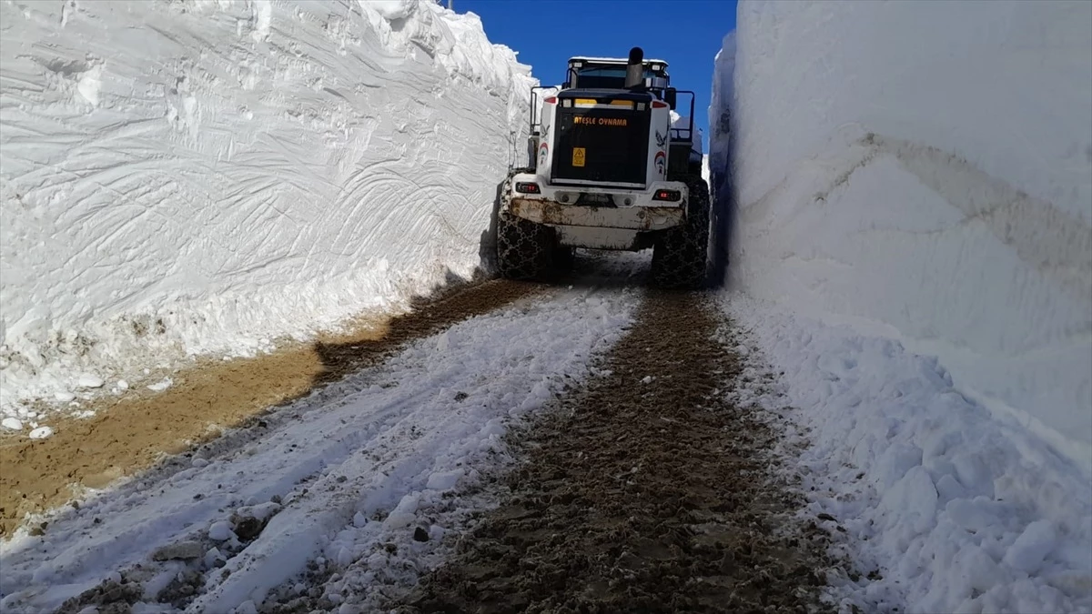 Hakkari\'deki üs bölgelerinin yolu karla mücadele ekipleri tarafından açıldı