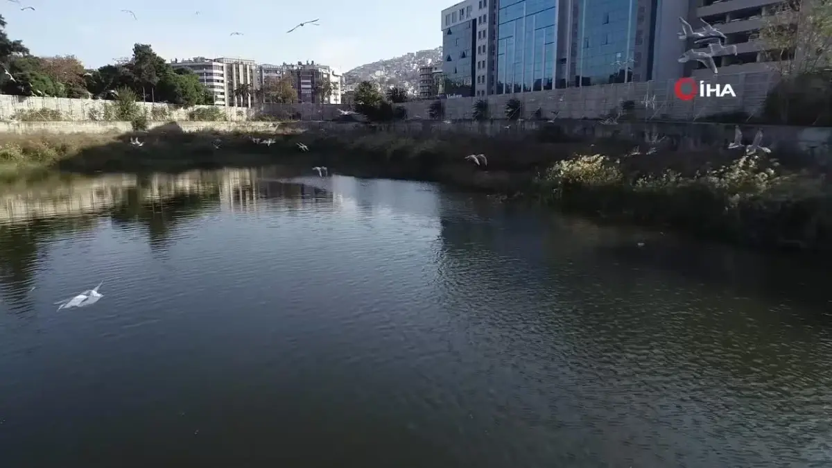 İzmir\'in göbeğinde 40 yıllık bir yılan hikayesi: Basmane Çukuru