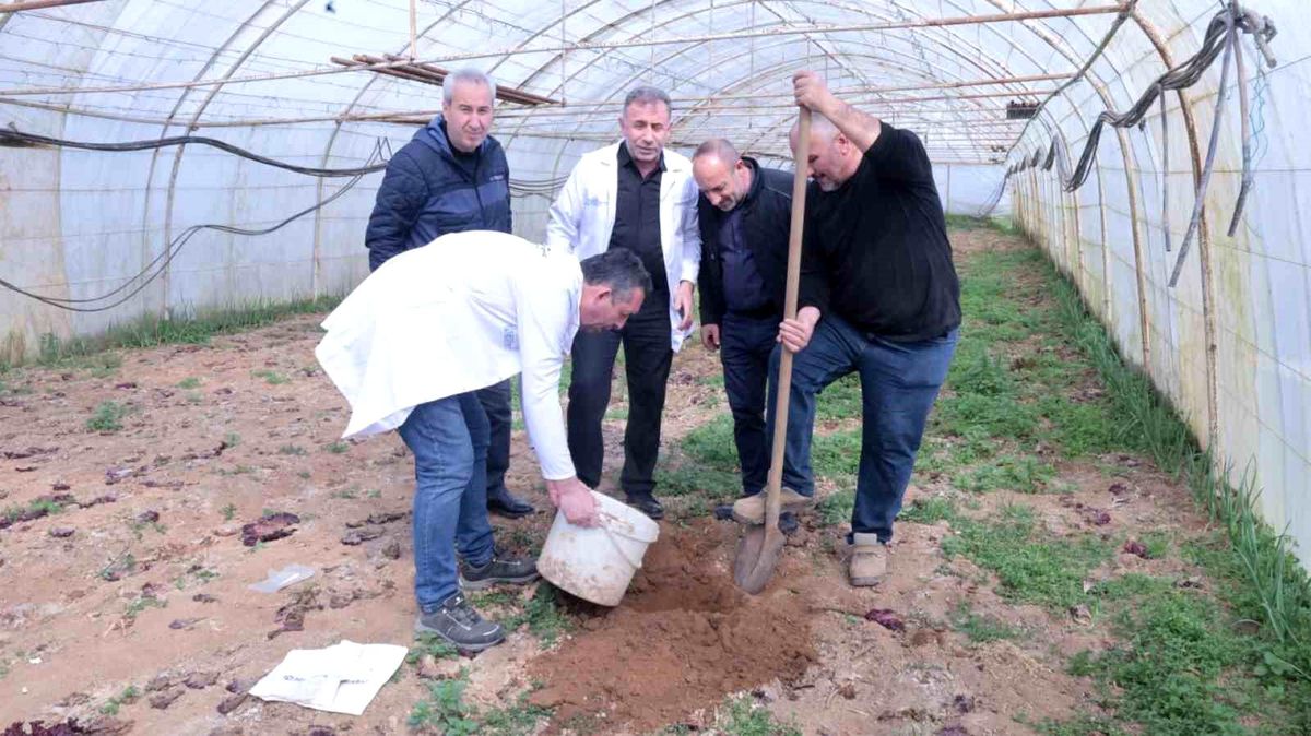 Gebze\'de Örtü Altı Yetiştiriciliği ve Seralarda Verimliliği Artırma Projesi