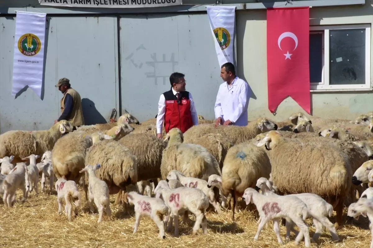 Tarım ve Orman Bakanı: Türkiye\'nin tarımsal üretiminde problem yok