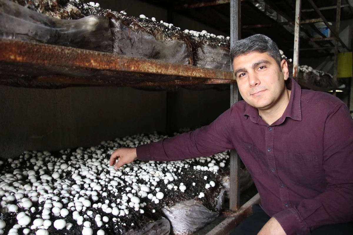 Adana\'da Uzman Eller Projesi ile desteklenen girişimci mantar üretimini artırdı
