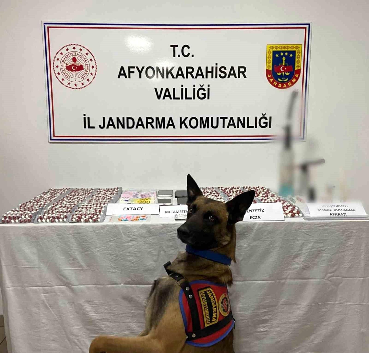 Afyonkarahisar\'da yapılan baskında binlerce adet sentetik ecza hap ve uyuşturucu yakalandı