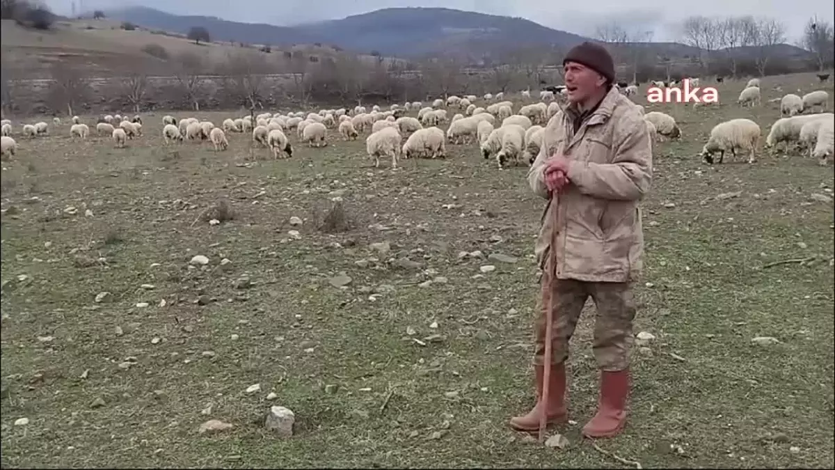 Hayvancılık Yapan Çiftçi, Organize Sanayi Bölgesine Tepki Gösterdi