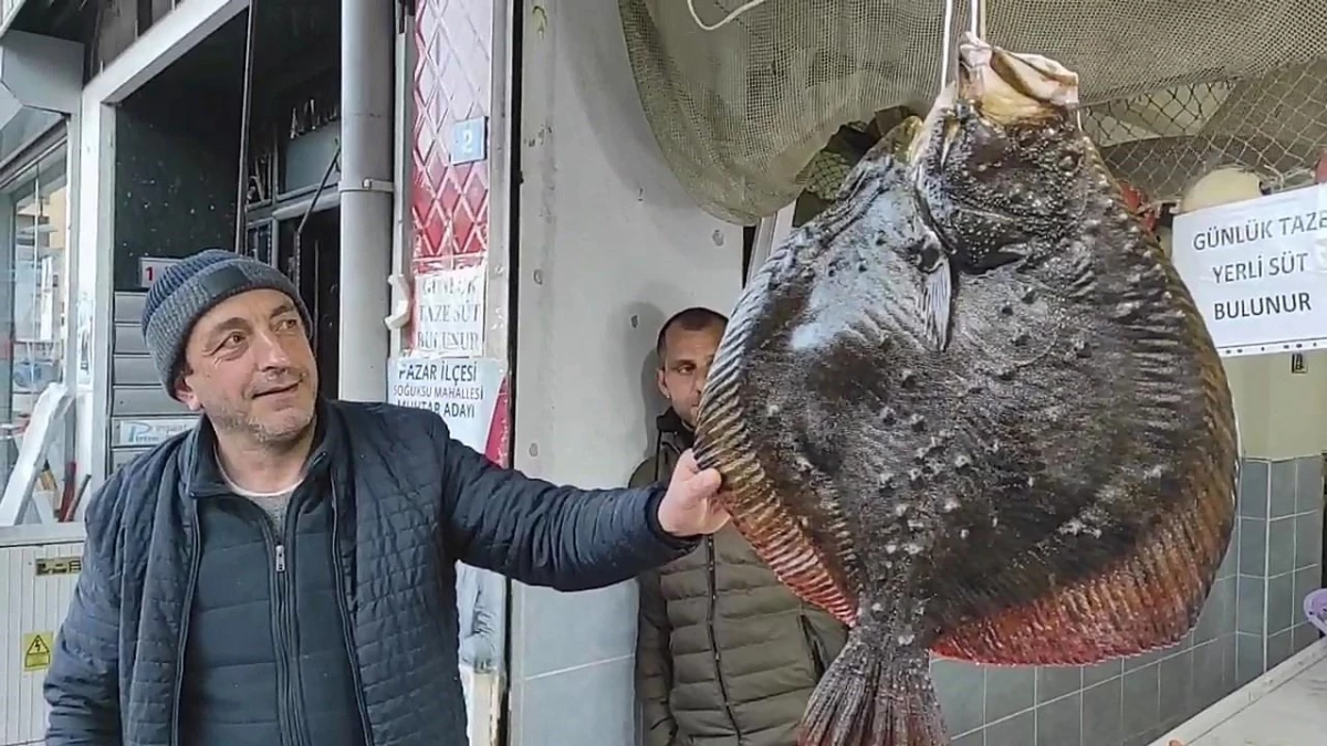 Karadeniz\'de nadir görülen Kalkan balığı anında alıcı buldu