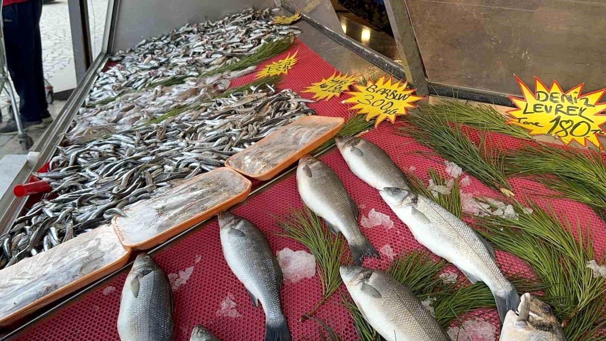 Düzce\'de Balıkçılar Sezonu Sıcak Deniz Suyu Yüzünden Kötü Geçiriyor