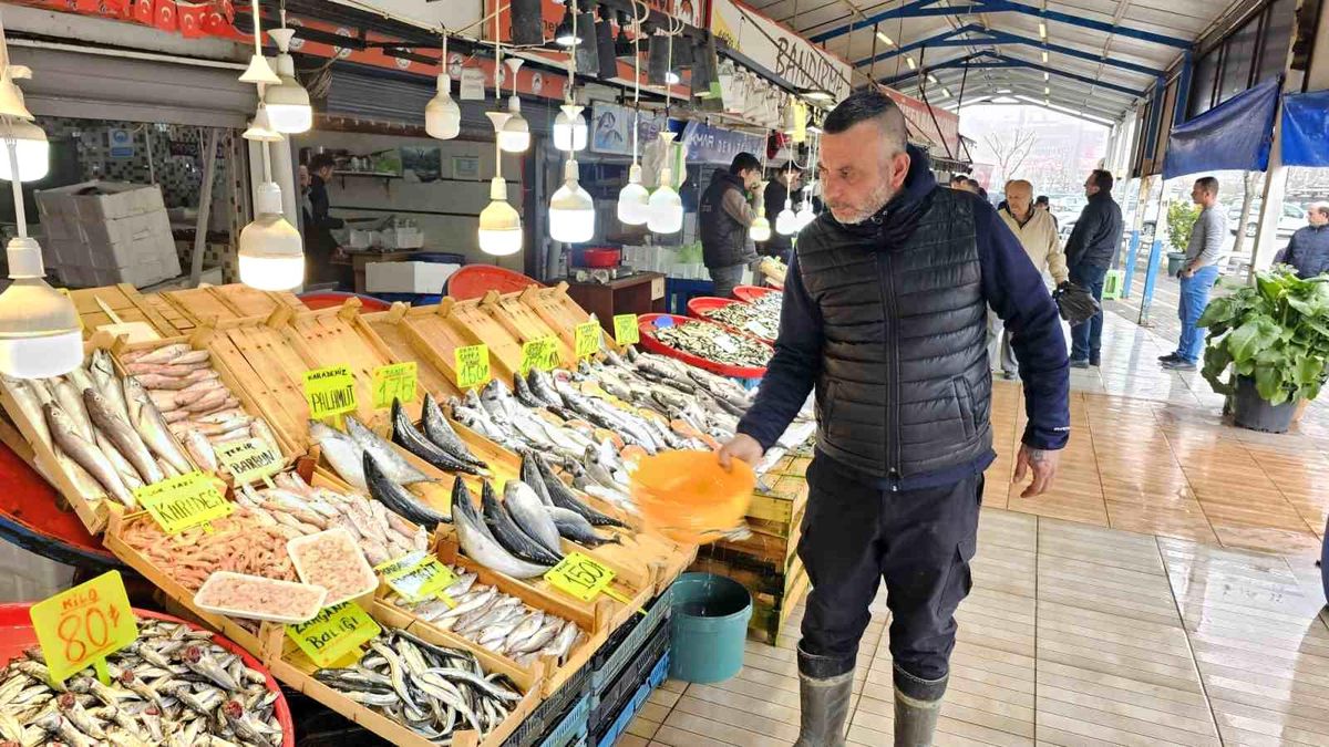 Bandırma\'da Hamsi Fiyatları Düştü