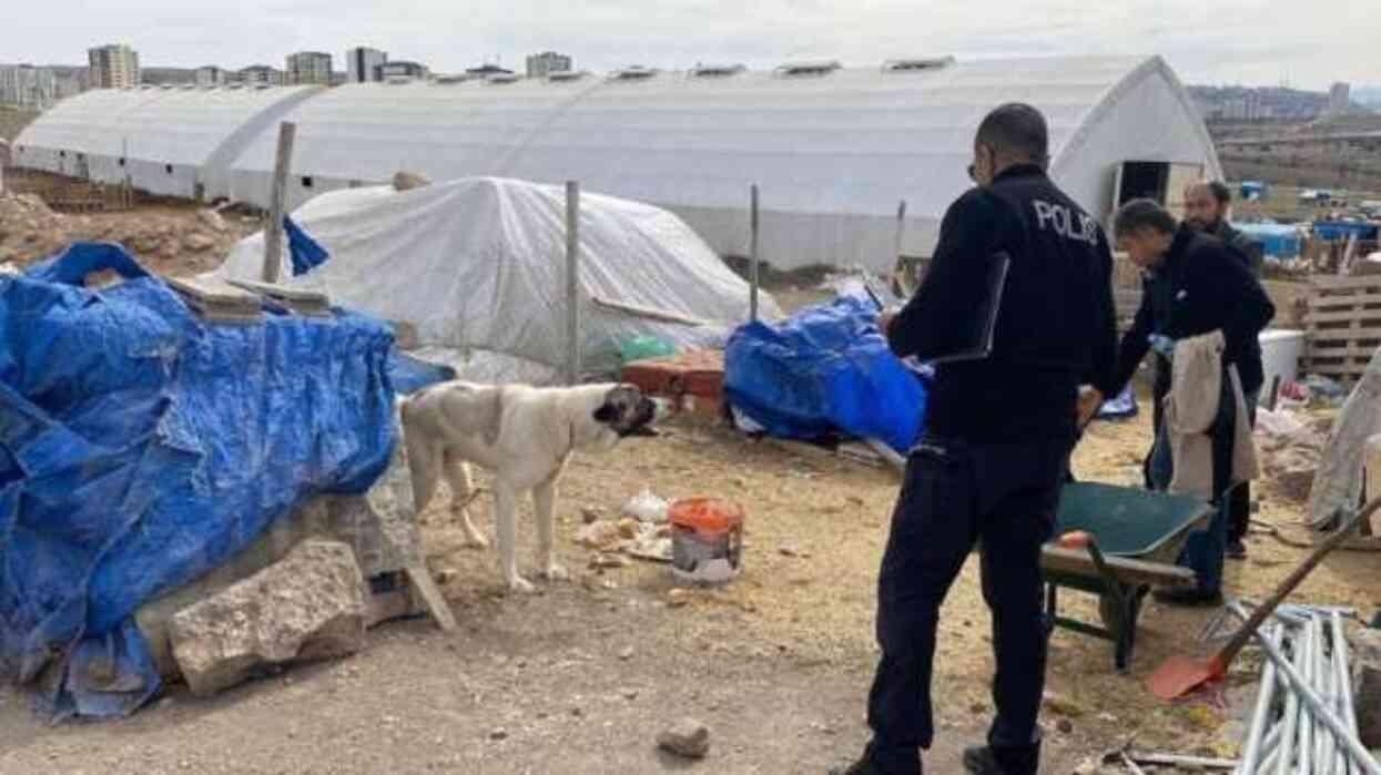 Başıboş sokak köpeği, aynı gün içerisinde 8 kişiyi ısırdı