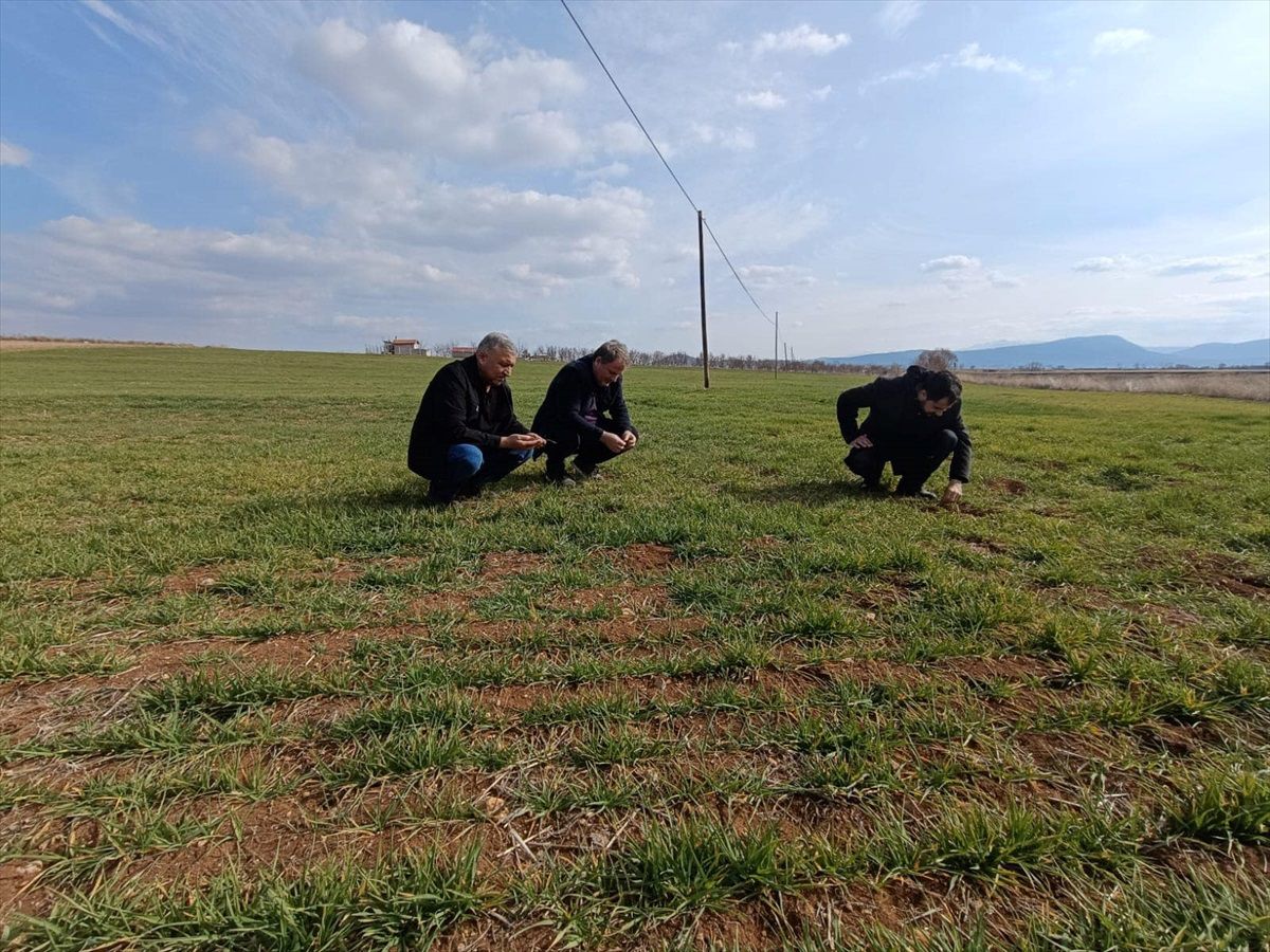 Beyşehir\'de Düzenlenen Fotoğraf Yarışması Sonuçlandı