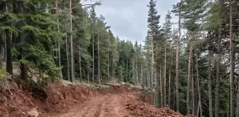 Bolu'nun Kıbrıscık ilçesinde orman yollarının yapımı devam ediyor