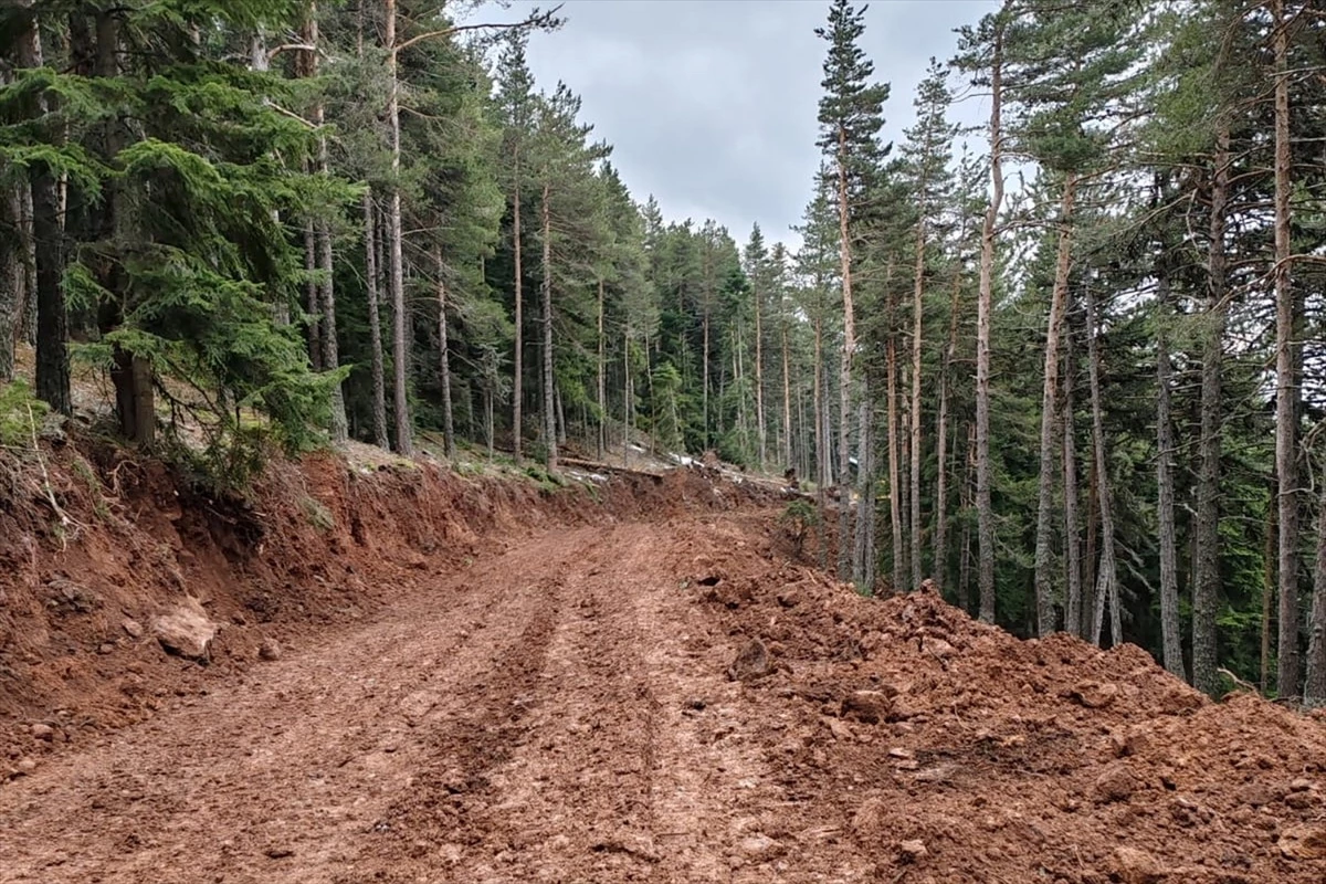 Bolu\'nun Kıbrıscık ilçesinde orman yollarının yapımı devam ediyor