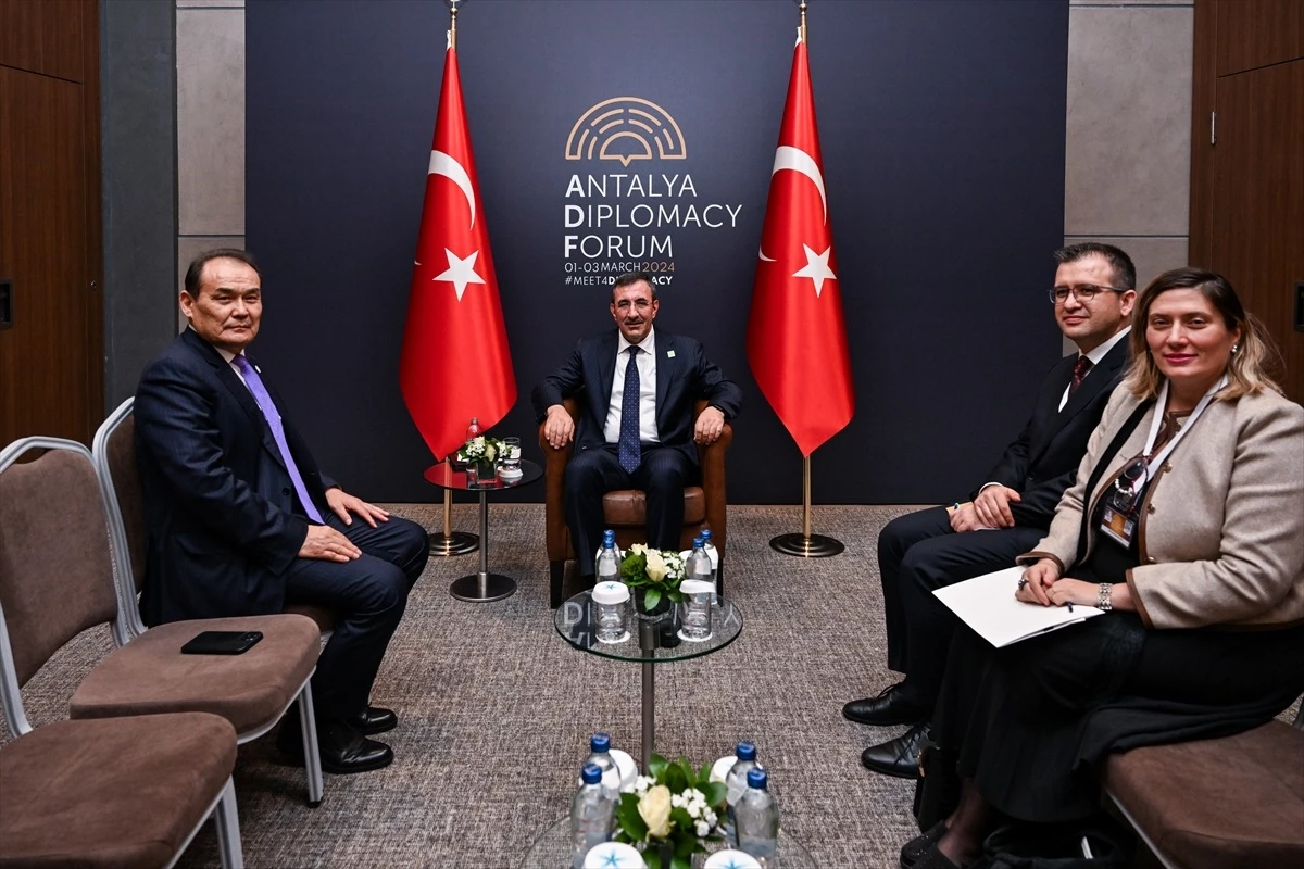 Cumhurbaşkanı Yardımcısı Cevdet Yılmaz, Türk Yatırım Fonu Başkanı Baghdad Amreyev\'i kabul etti