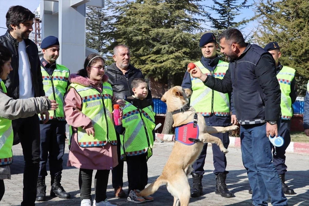 Kırşehir\'de Jandarma Ekipleri Özel Misafirleri Ağırlıyor