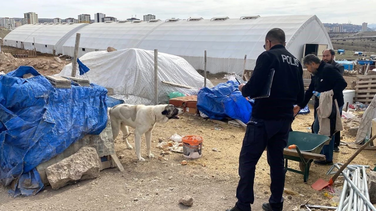 Köpeğin başından ısırdığı çocuk ağır yaralandı