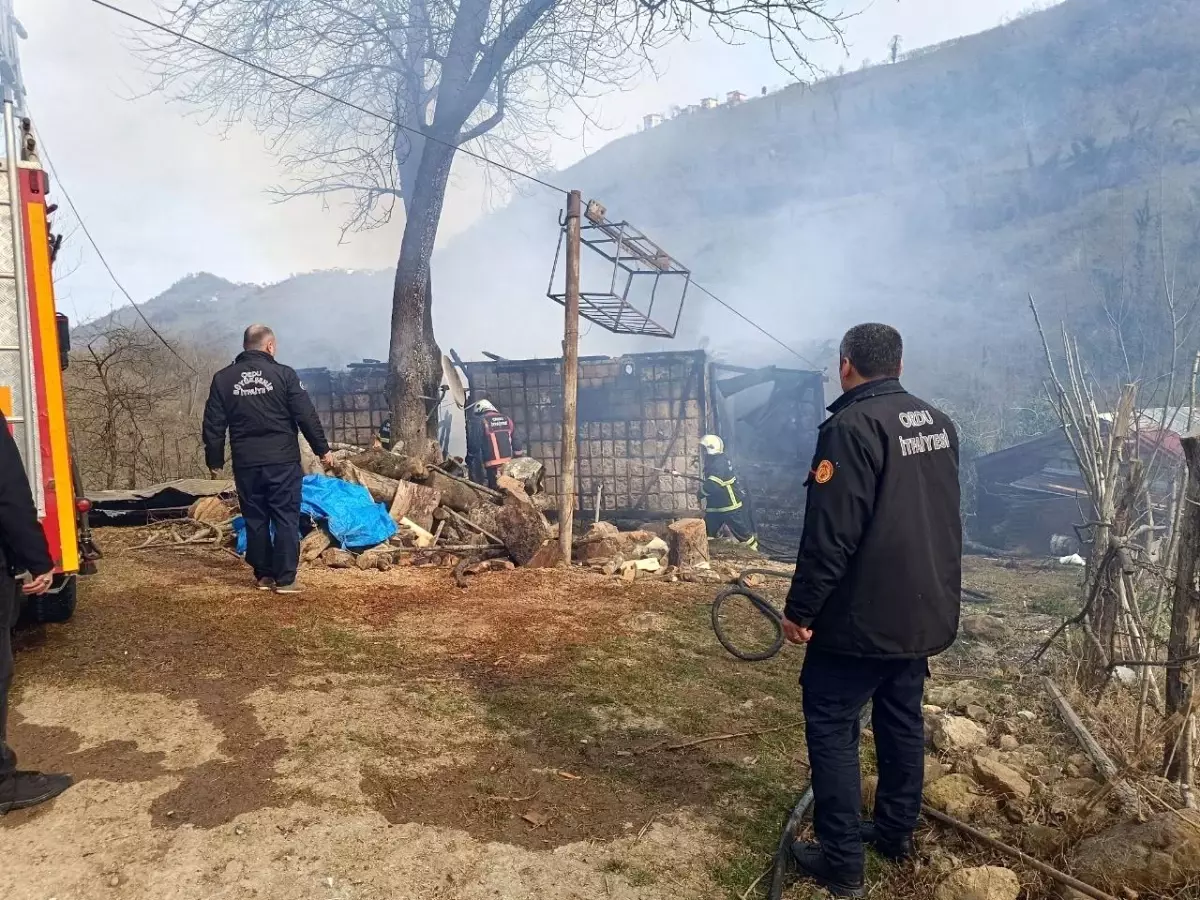 Ordu\'da 2 Katlı Evde Çıkan Yangın Söndürüldü