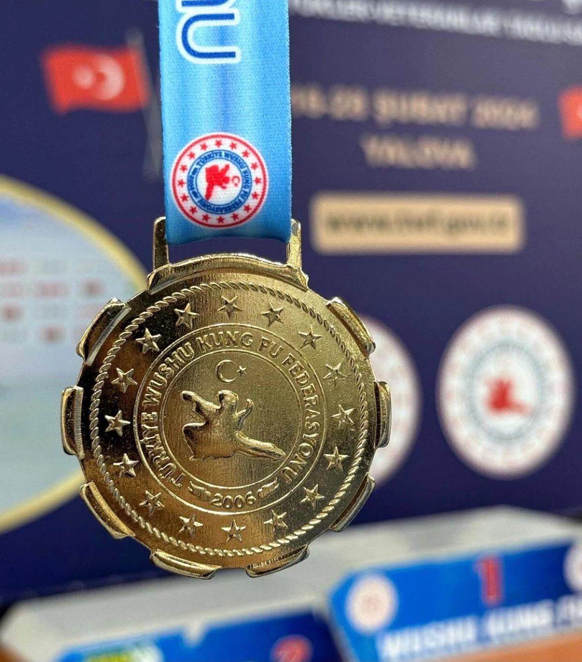 Düzce Üniversitesi öğrencisi Mehmet Demirci Türkiye Wushu Kungfu Şampiyonası\'nda birinci oldu
