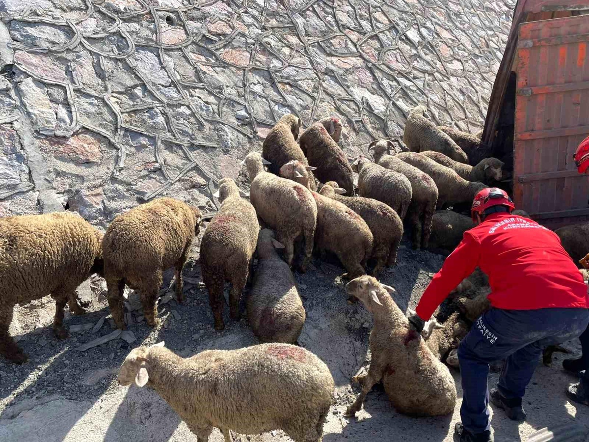 Balıkesir\'de Tır Kazası: 1 Ölü, 2 Yaralı ve 20 Koyun Telef Oldu