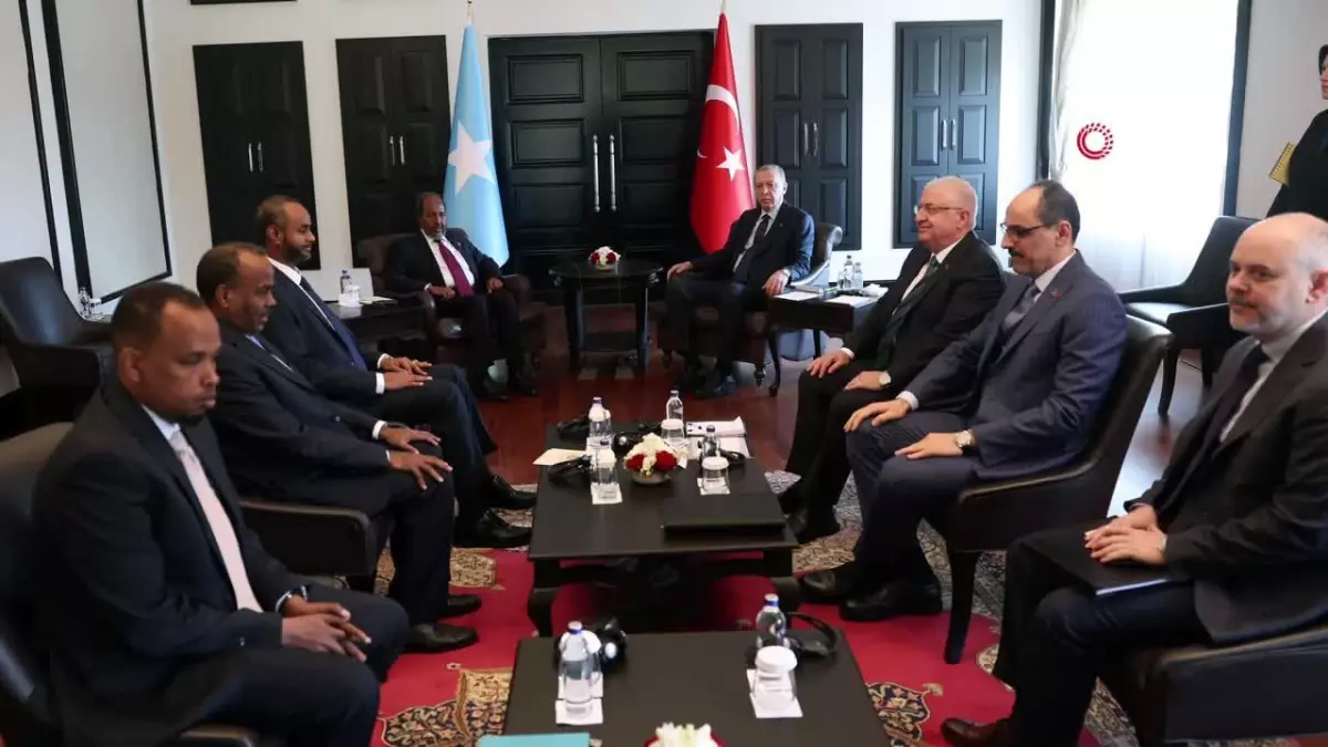 Cumhurbaşkanı Erdoğan, Somali Cumhurbaşkanı Hassan Şeyh Mahmud ile bir araya geldi