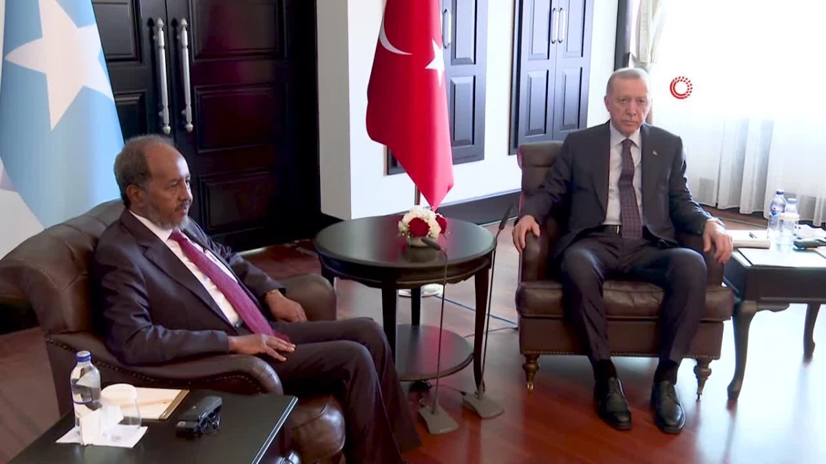 Cumhurbaşkanı Erdoğan, Somali Cumhurbaşkanı Hassan Şeyh Mahmud ile bir araya geldi
