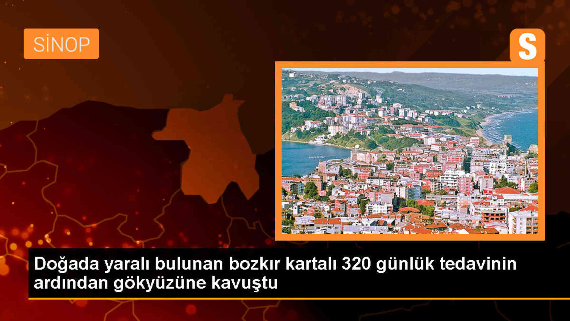 Yaralı Bozkır Kartalı Tedavi Edildi ve Doğaya Bırakıldı