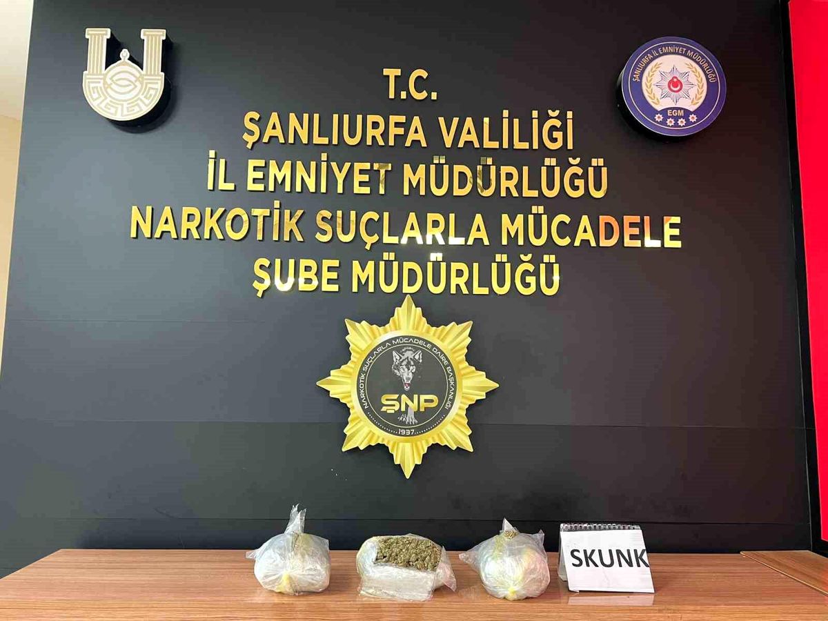 Şanlıurfa\'da 1 kilo 600 gram skunk maddesi ele geçirildi, 1 şüpheli gözaltına alındı