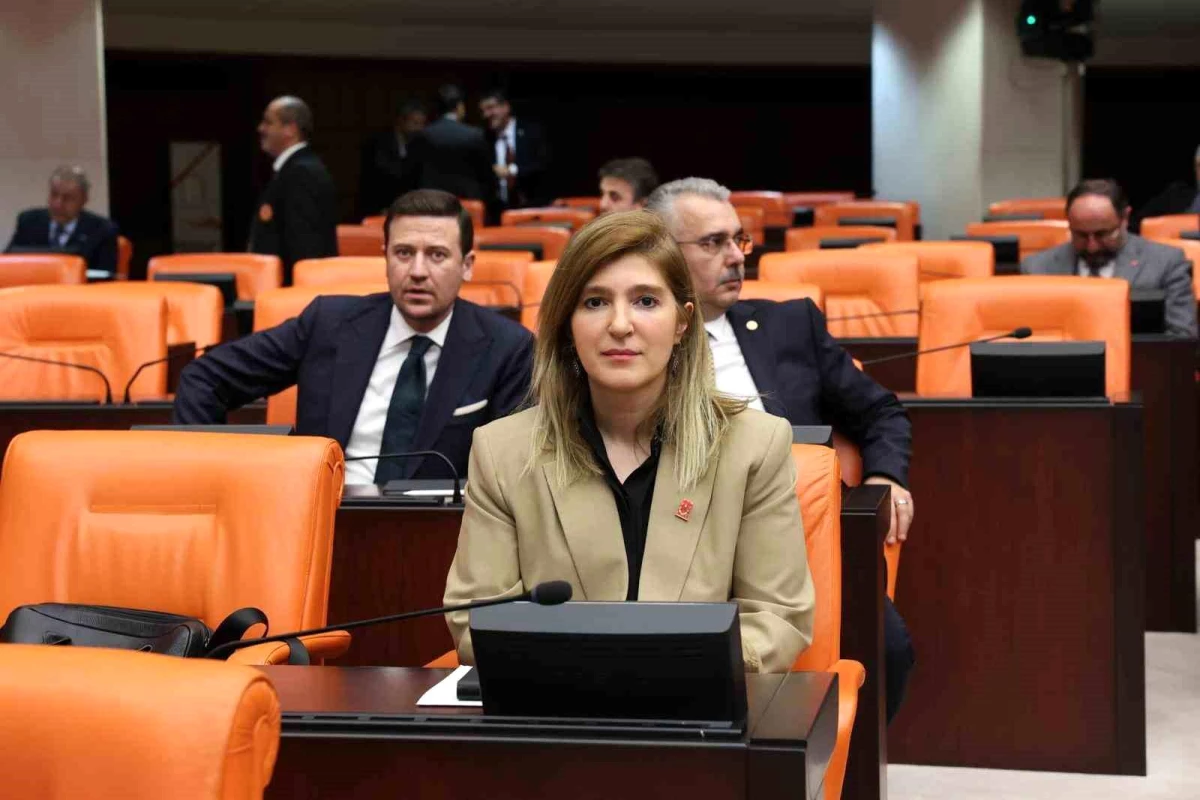AK Parti Milletvekili Ölmeztoprak, 8. Yargı Paketi hakkında açıklamalarda bulundu