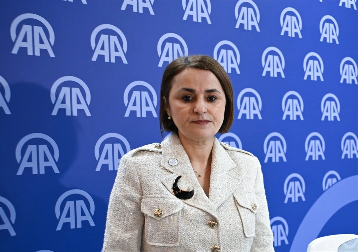 Romanya Dışişleri Bakanı Türkiye ile İlişkileri Geliştirmek İçin Çalışıyor