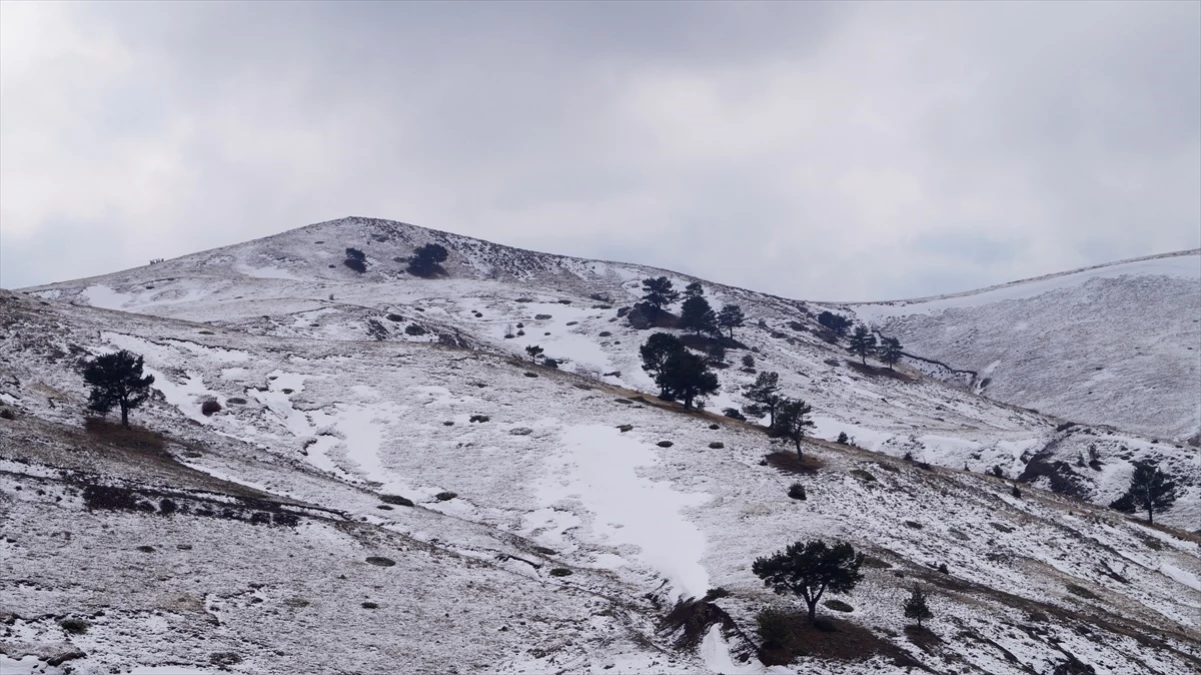 Tokat\'ın yüksek kesimlerine kar yağdı