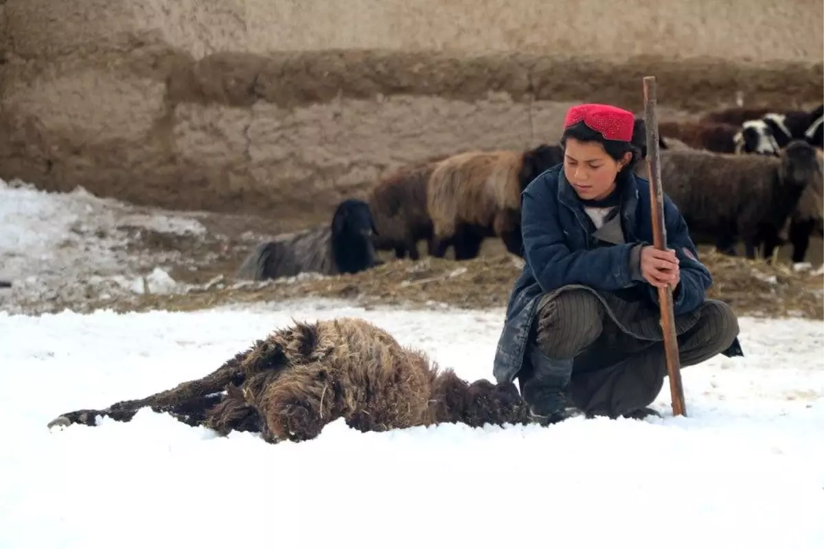 Afganistan\'da Soğuk Hava Dalgası: 39 Kişi Hayatını Kaybetti