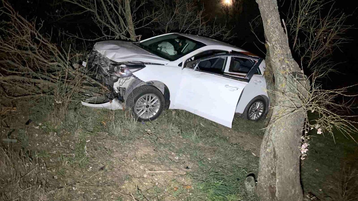 Edirne\'de alkolü otomobil sürücüsü direksiyon kontrolünü kaybettiği kazada yaralandı
