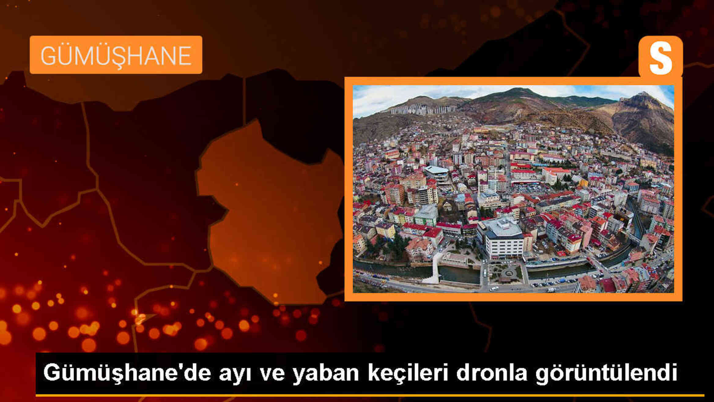 Gümüşhane\'de kayalık alandaki yaban keçileri ile ayı dronla görüntülendi