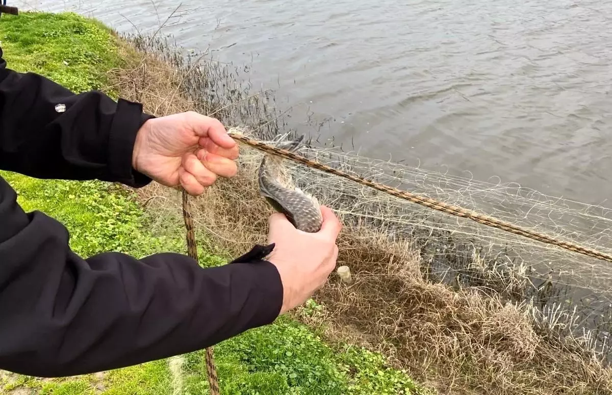 Düzce\'de yasadışı avcılık denetiminde 250 metrelik ağ yakalandı