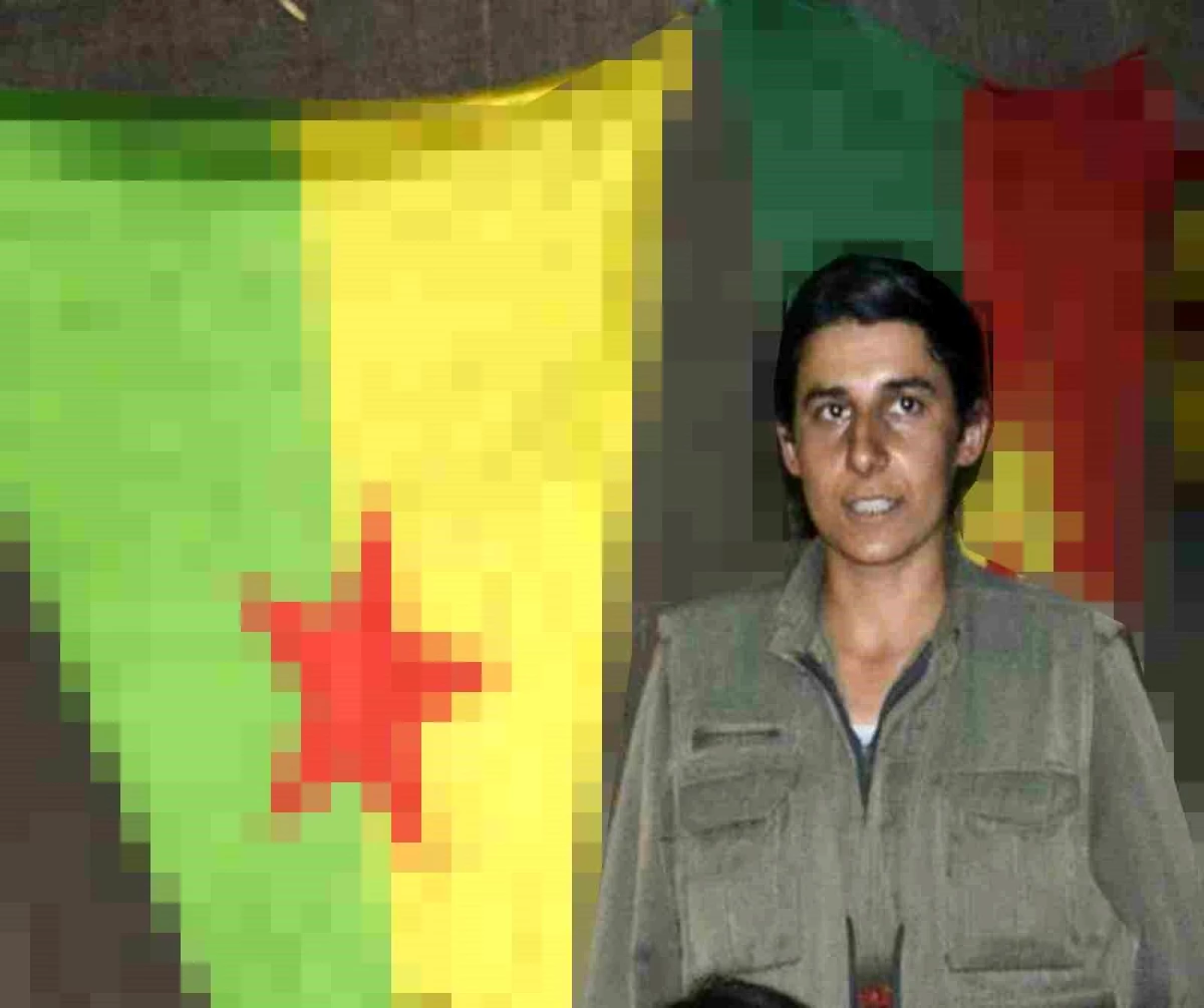 MİT, PKK\'nın sözde sorumlusunu etkisiz hale getirdi