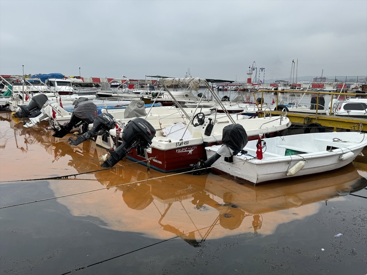Tekirdağ\'da Denizde Plankton Nedeniyle Renk Değişimi Devam Ediyor