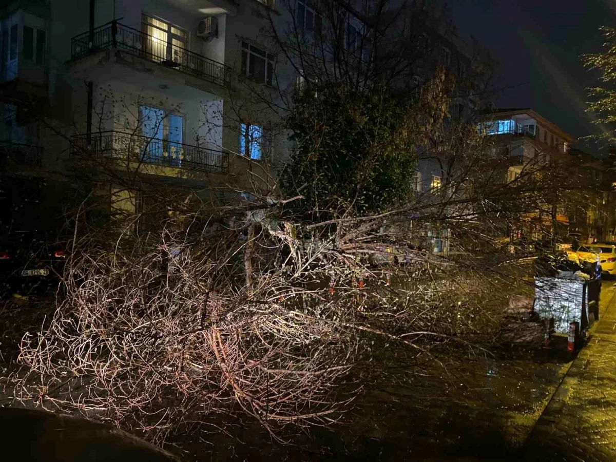 Ankara\'da Fırtına Sonucu Ağaç Devrildi, Sokak Trafiğe Kapatıldı