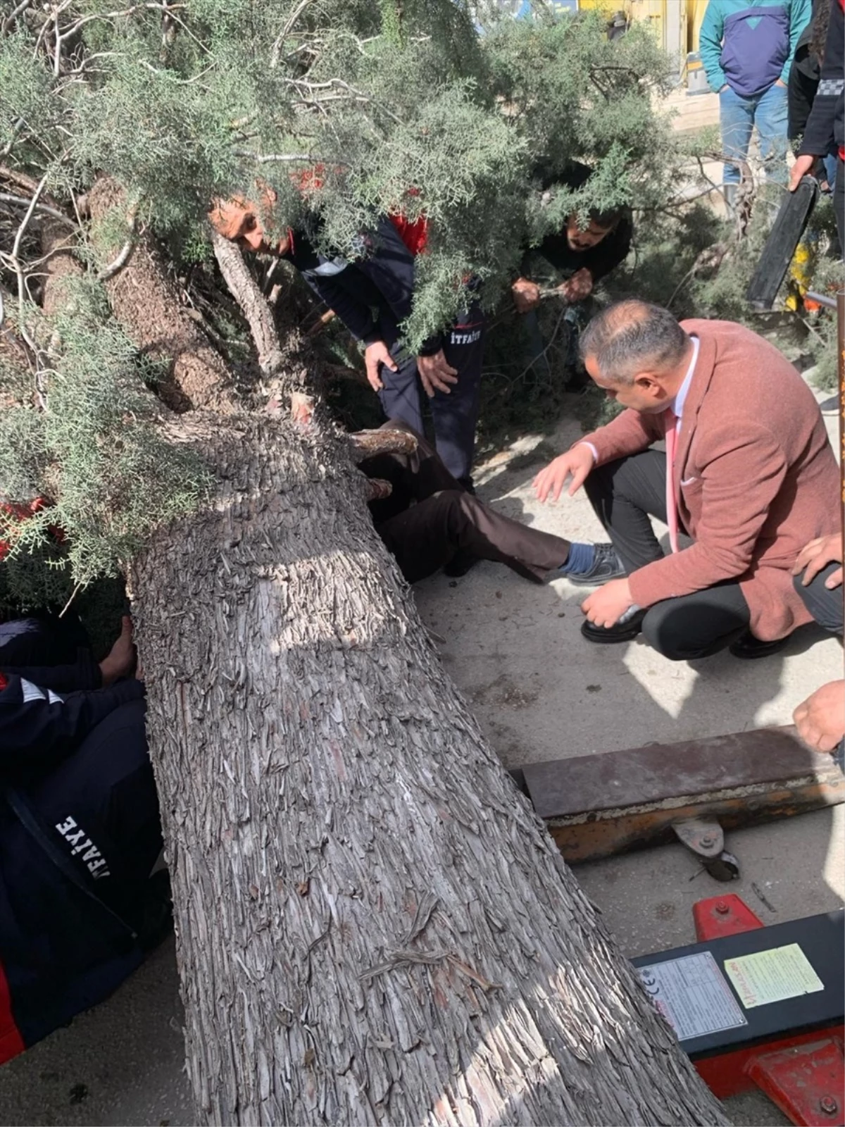 Burdur\'da Kuvvetli Rüzgar Sonucu Ağaç Devrildi, Saadet Partisi Belediye Başkan Adayı ve Oğlu Yaralandı