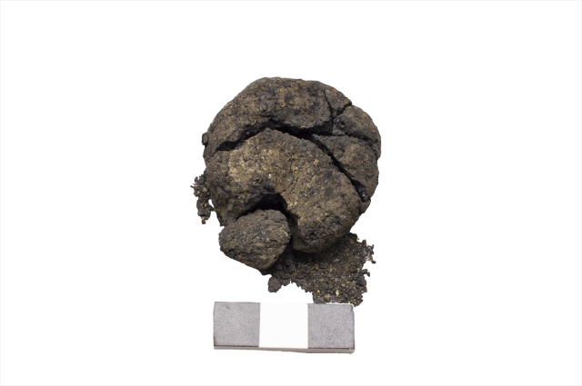 Çatalhöyük'teki kazıda 8 bin 600 yıllık ekmek bulundu